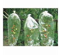 Windhager 05626 Housse Perforée pour Tomate Transparent