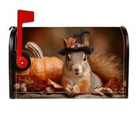 Housses de boîte aux lettres magnétiques en forme d'écureuil - Chapeau de citrouille rustique d'Halloween - Décorations pour extérieur et cour - 53,3 x 64,5 cm - Orange