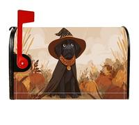 Housses de boîte aux lettres magnétiques pour chien, chapeau de citrouilles rustique, pour décoration extérieure, jardin, cour, 45,7 x 53,3 cm
