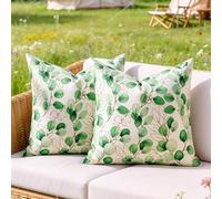 Housses de Coussin 40x40 Coussin Vert Feuilles d'eucalyptus Plante Moderne Taie d'oreiller Boheme Exterieur Aesthetic Moderne Plante Décoratif Taie d'oreiller pour Canapé Maison Jardin Décoration