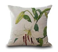 Housses de Coussin (45 cmx45 cm/18 x 18 Fleur Série d'encre Peinture Rose Fleurs Rhododendron Pivoine Fleurs Orchidées Coton Coussin en Lin pour canapé My-p1025-01