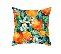 Housses de coussin 50 cm x 50 cm, motif fruits d'orange, taie d'oreiller carrée décorative pour salon, canapé, chambre à coucher avec fermeture éclair invisible
