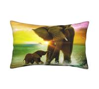 Housses de coussin 60 x 40 cm, motif éléphant d'Afrique, impression double face, housse de coussin avec fermeture éclair invisible, taie d'oreiller décorative pour canapé