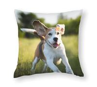 Housses de coussin, 60 x 60 cm, motif chien beagle heureux qui court avec oreilles volantes, coussins de chaise, coussins de canapé, housses de coussin de siège, taies d'oreiller de lit