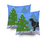 Eternal Sunshine Deluxe: Brighter Days Ahead