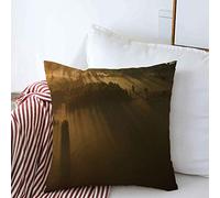 Housses de Coussin décoratives Case Wonders Sun Nature Happiness Brouillard épais Aube sur Les Textures Agronomie au-Dessus de la Brume Forêt Dense Coussin carré aérien Housses de Coussin Canapé Ban