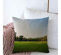 Housses de Coussin décoratives comme Paysage Feuille Ville Herbe Soleil Plante Champ Espace Vert Environnement Public Nature Jardin Textures Coussin carré oreillers Couvre canapé Banc canapé 18 x 18