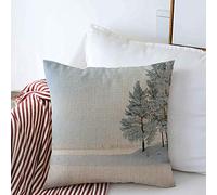 Housses de Coussin décoratives Coque Arbres Pin Clair Naturel Beau Bouleau Milieu Extérieur Blanc Champ Couvert Nature Météo Pistes Coussin Carré Oreillers Housses Canapé Banc Canapé 18x18 Pouces