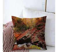 Housses de Coussin décoratives Coque Fée Scenic Forêt d'automne sur Multicolore Cascade Ruisseau Arbre Pierres Europe Feuilles Entre la Nature Coussin carré Housses d'oreillers Canapé Banc Canapé 18