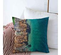 Housses de Coussin décoratives océan Cette Photographie aérienne de l'eau Sydney lumière du Jour Prise Haute résolution Parcs Haut extérieur Plage est carré Coussin oreillers Couvre canapé Banc cana