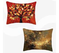 Housses de Coussin Nordique Coussin Exterieur Impermeable Abstrait Decoration Salon, Lin Taie d'oreiller avec Surface Hydrofugfe, Canapé, Jardin, Banquette Decoration 60x80 Lot de 2 -SW260336K