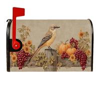 Housses magnétiques pour boîte aux lettres motif oiseau, citrouilles rustiques, raisins, automne, orange, pour décoration de porche, 53,3 x 64,9 cm
