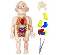 HoveeLuty Jouets d'anatomie pour Enfants, modèle de Corps Humain pour Enfants, Jouets d'anatomie à Assembler soi-même, du Corps Humain avec Organes internes et Membres, scientifiques 'anatomi