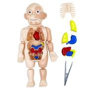 HoveeLuty Modèle de Corps Humain pour Enfants, Jouets d'anatomie à Assembler soi-même, Jouets du Corps Humain avec Organes internes et Membres, scientifiques d'anatomie pour Enfants, 'appren