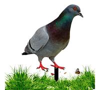 HoveeLuty Ornements De Jardin Faux Collorde Pigeon Acrylique Décor Décor Volerie Métal Pieu De Jardin Résistant À La Rouille Jardin Jardin Art Enjeux De Plancher pour Jardin Style Pelouse a
