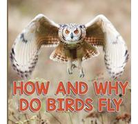 How And Why Do Birds Fly