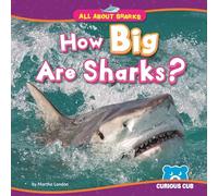 How Big Are Sharks? (All About Sharks)