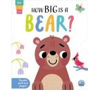 How Big Is A Bear?