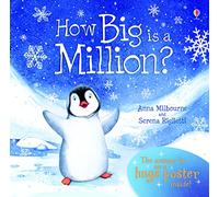 How Big is a Million? (Usborne Picture Storybooks) (Picture Books)