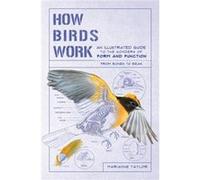 How Birds Work An Illustrated Guide to the Wonders of Form and FunctionFrom Bones to Beak by Marianne Taylor Marianne Taylor (Auteur)