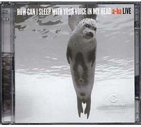 How Can I Sleep With Your Voice In My Head