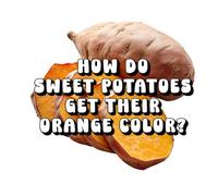 How Do Sweet Potatoes Get Their Orange Color?