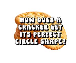 How Does a Cracker Get Its Perfect Circle Shape?