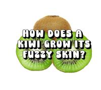 How Does a Kiwi Grow Its Fuzzy Skin