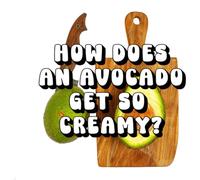 How Does an Avocado Get So Creamy?