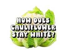 How Does Cauliflower Stay White?