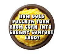 How Does Polenta Turn from Corn into Creamy Comfort Food?