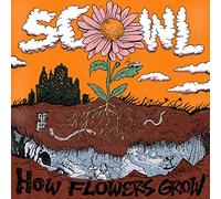 How Flowers Grow