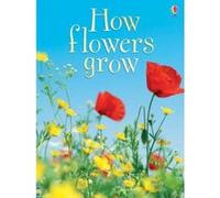 Usborne – Comment poussent les fleurs – 1 (Débutants)