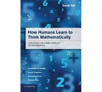 How Humans Learn to Think Mathematically: Exploring The Three Worlds Of Mathematics (Learning in Doing: Social, Cognitive and Computational Perspectives) Tall, David (Auteur)