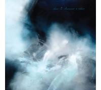 How I Became A Wave - How I Became A Wave [Vinilo]