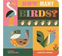How many birds? - Marcos Farina - Gestalten Dgv - cartonné - Document jeunesse