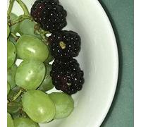 How Many Times Have Yo