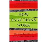 How Sanctions Work by Ali Vaez Ali Vaez (Auteur)
