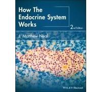 How The Endocrine System Works