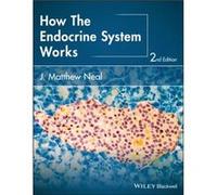 How the Endocrine System Works by Neal & J. Matthew Indiana University Health Ball Memorial Hospital and University School of Medicine & Muncie Center for J Matthew Neal, (Auteur)