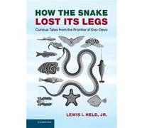 How the Snake Lost its Legs - Held Jr Lewis I. Texas Tech University - Cambridge University Press - Livre en Anglais - Hardback Held Jr Lewis I. Texas Tech UniversityHeld Jr Lewis I. Texas Tech Univer