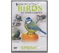 How To Attract Birds To Your Garden: Spring