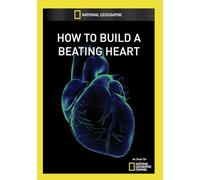 How to Build a Beating Heart