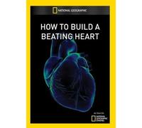 How to Build a Beating Heart