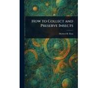 How To Collect And Preserve Insects