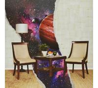 How to: Friend, Love, Freefall by Rainbow Kitten Surprise [VINYL] NEUF