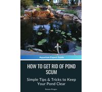 How To Get Rid Of Pond Scum: Simple Tips & Tricks To Keep Your Pond Clear