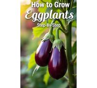 How to Grow Eggplants Step by Step: All about growing eggplants in the home garden