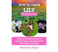 How to grow Lilly for Beginners: A Step-by-Step Beginner’s Guide to Planting, Caring, and Growing Beautiful Lilies at Home