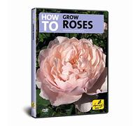 How to Grow Roses [Import anglais]